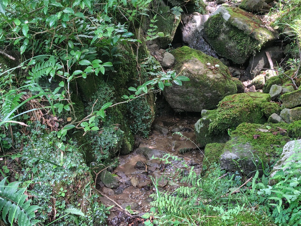 隣接の小川