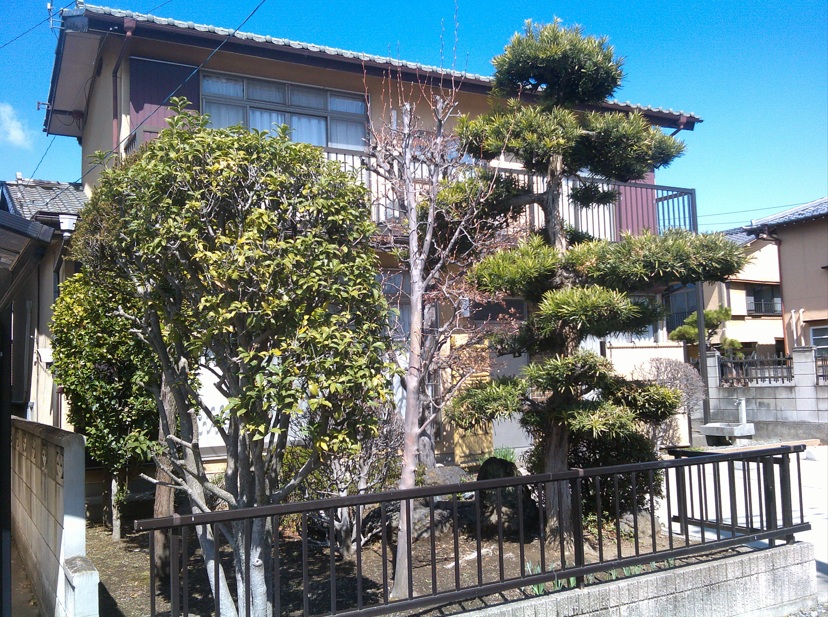 外観3