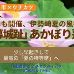 【ウチカツタイムズ】伊勢崎市「あかぼり蓮園」を紹介するアイキャッチ画像