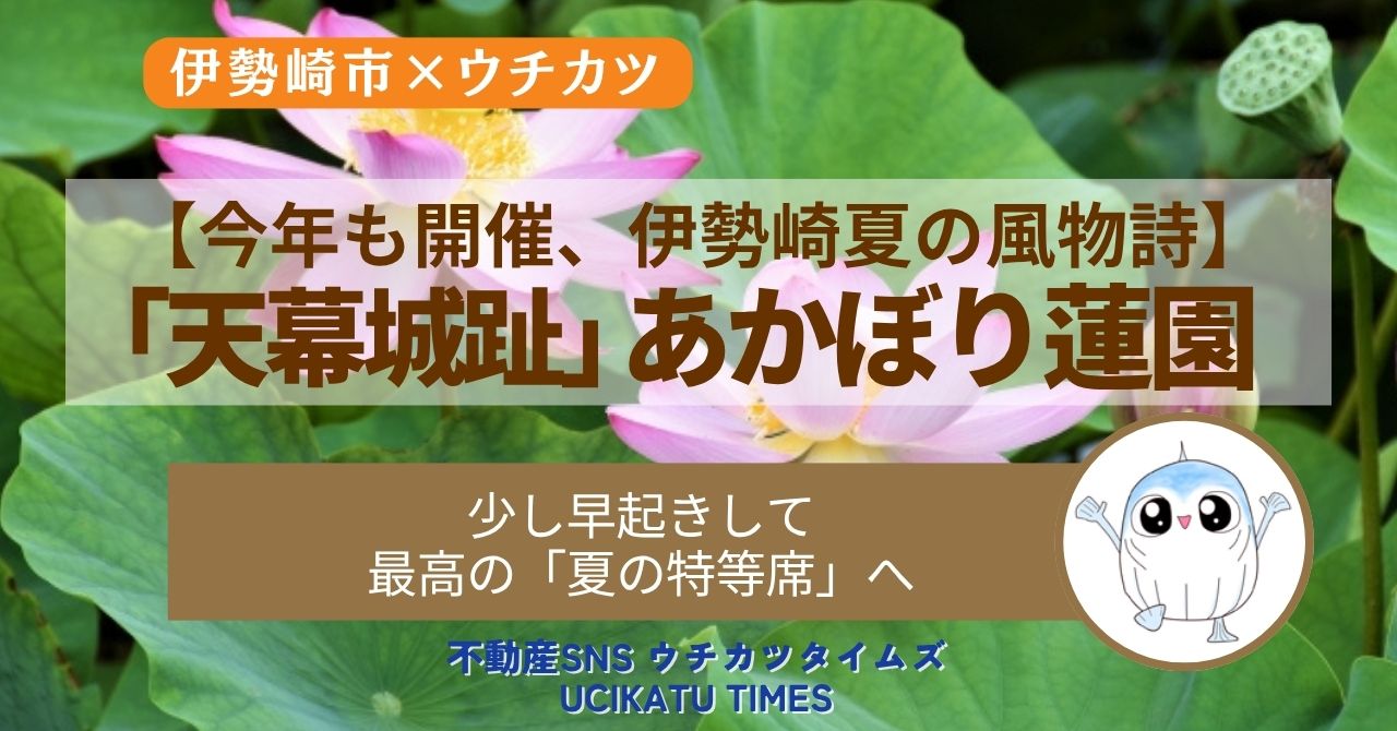 【ウチカツタイムズ】伊勢崎市「あかぼり蓮園」を紹介するアイキャッチ画像