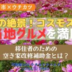 【伊勢崎市×ウチカツ】秋の絶景コスモス&ご当地グルメを満喫!移住者向けの空き家補助金マル秘情報も♪